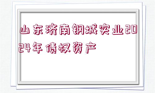 山東濟南鋼城實業(yè)2024年債權(quán)資產(chǎn)