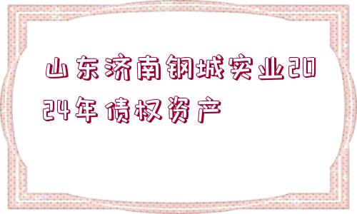 山東濟南鋼城實業(yè)2024年債權資產(chǎn)