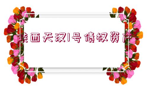 陜西天漢1號債權(quán)資產(chǎn)