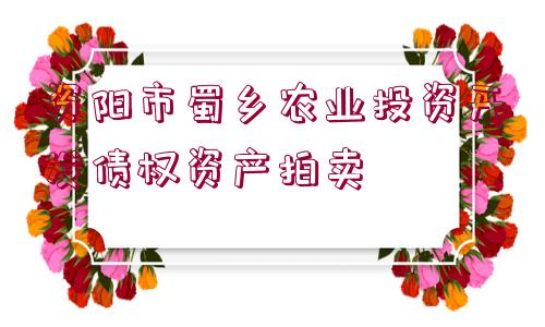 資陽市蜀鄉(xiāng)農(nóng)業(yè)投資開發(fā)債權(quán)資產(chǎn)拍賣