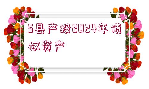 S縣產(chǎn)投2024年債權(quán)資產(chǎn)