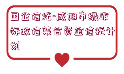 國企信托-咸陽市級(jí)非標(biāo)政信集合資金信托計(jì)劃