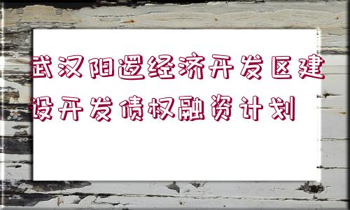 武漢陽邏經(jīng)濟開發(fā)區(qū)建設(shè)開發(fā)債權(quán)融資計劃