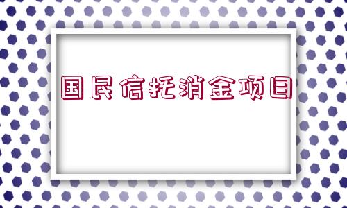 國民信托消金項目