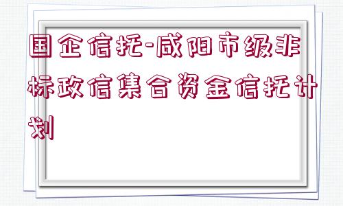 國企信托-咸陽市級(jí)非標(biāo)政信集合資金信托計(jì)劃