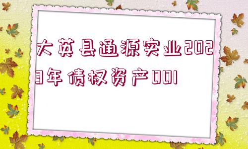 大英縣通源實(shí)業(yè)2023年債權(quán)資產(chǎn)001