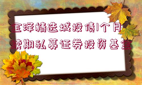 金澤精選城投債1個月續(xù)期私募證券投資基金