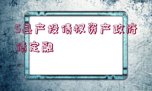 S縣產(chǎn)投債權(quán)資產(chǎn)政府債定融