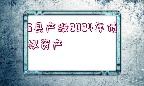 S縣產(chǎn)投2024年債權(quán)資產(chǎn)