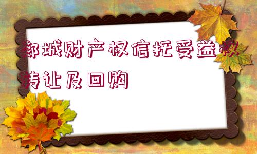 郯城財產(chǎn)權信托受益權轉(zhuǎn)讓及回購