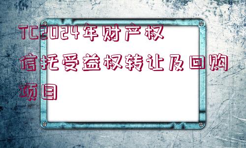 TC2024年財(cái)產(chǎn)權(quán)信托受益權(quán)轉(zhuǎn)讓及回購項(xiàng)目