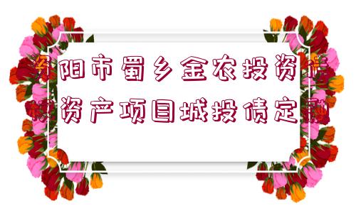 資陽市蜀鄉(xiāng)金農(nóng)投資債權(quán)資產(chǎn)項目城投債定融