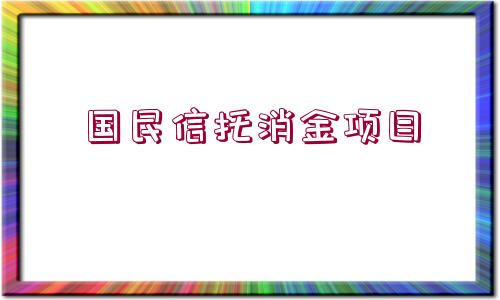 國民信托消金項(xiàng)目