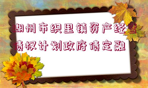 湖州市織里鎮(zhèn)資產(chǎn)經(jīng)營(yíng)債權(quán)計(jì)劃政府債定融