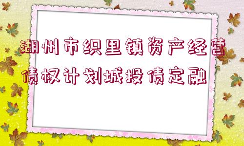 湖州市織里鎮(zhèn)資產(chǎn)經(jīng)營債權(quán)計(jì)劃城投債定融