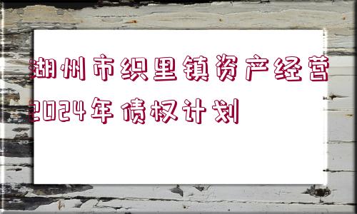 湖州市織里鎮(zhèn)資產(chǎn)經(jīng)營2024年債權(quán)計(jì)劃