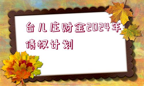 臺兒莊財金2024年債權計劃