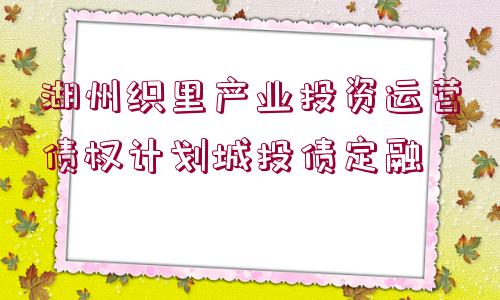 湖州織里產(chǎn)業(yè)投資運(yùn)營債權(quán)計(jì)劃城投債定融