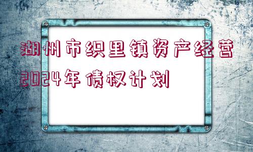 湖州市織里鎮(zhèn)資產(chǎn)經(jīng)營2024年債權(quán)計劃