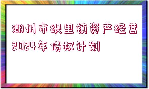 湖州市織里鎮(zhèn)資產(chǎn)經(jīng)營(yíng)2024年債權(quán)計(jì)劃