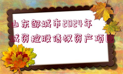 山東鄒城市2024年城資控股債權(quán)資產(chǎn)項目