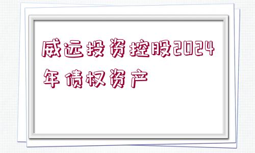 威遠(yuǎn)投資控股2024年債權(quán)資產(chǎn)