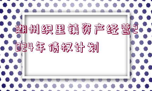 湖州織里鎮(zhèn)資產(chǎn)經(jīng)營2024年債權計劃