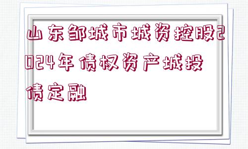 山東鄒城市城資控股2024年債權(quán)資產(chǎn)城投債定融