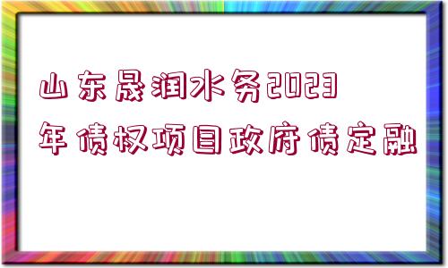 山東晟潤(rùn)水務(wù)2023年債權(quán)項(xiàng)目政府債定融