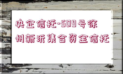 央企信托-509號徐州新沂集合資金信托