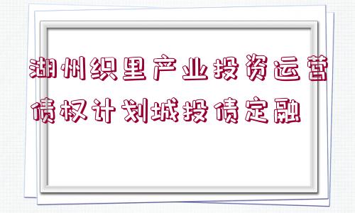 湖州織里產(chǎn)業(yè)投資運(yùn)營債權(quán)計(jì)劃城投債定融