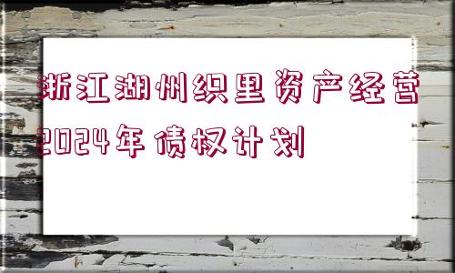 浙江湖州織里資產(chǎn)經(jīng)營2024年債權(quán)計(jì)劃