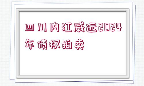 四川內(nèi)江威遠(yuǎn)2024年債權(quán)拍賣