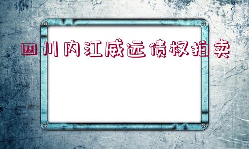 四川內江威遠債權拍賣 