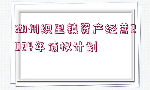 湖州織里鎮(zhèn)資產(chǎn)經(jīng)營(yíng)2024年債權(quán)計(jì)劃