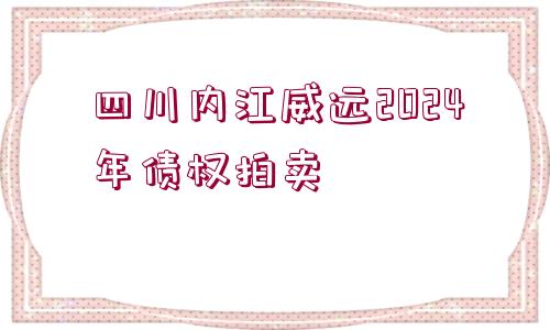 四川內(nèi)江威遠(yuǎn)2024年債權(quán)拍賣