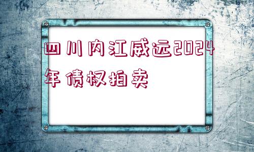 四川內(nèi)江威遠(yuǎn)2024年債權(quán)拍賣