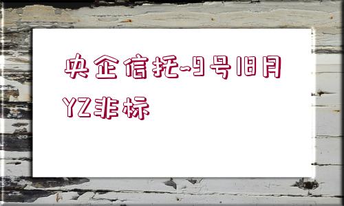 央企信托~9號18月YZ非標(biāo)