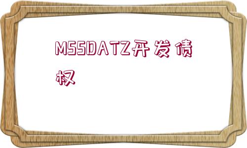 MSSDATZ開發(fā)債權(quán)