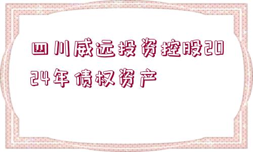 四川威遠投資控股2024年債權資產