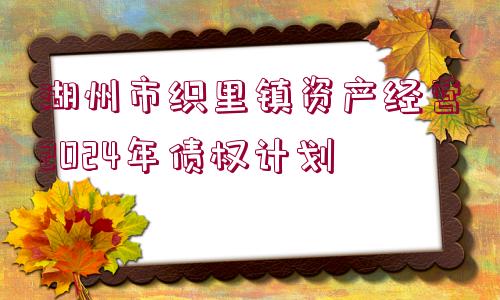 湖州市織里鎮(zhèn)資產(chǎn)經(jīng)營(yíng)2024年債權(quán)計(jì)劃