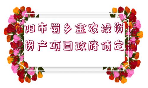 資陽市蜀鄉(xiāng)金農(nóng)投資債權(quán)資產(chǎn)項(xiàng)目政府債定融