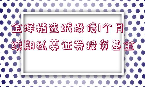 金澤精選城投債1個月續(xù)期私募證券投資基金