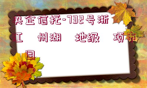 央企信托-732號浙江?州湖?地級?項市?目