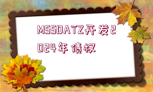 MSSDATZ開發(fā)2024年債權