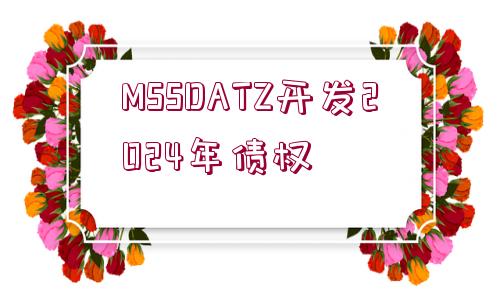 MSSDATZ開發(fā)2024年債權