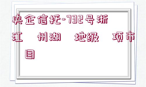 央企信托-732號浙江?州湖?地級?項市?目