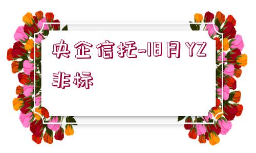 央企信托~18月YZ非標(biāo)