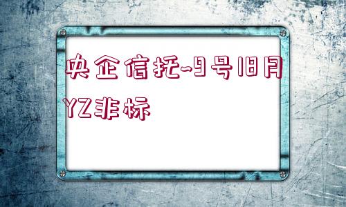 央企信托~9號(hào)18月YZ非標(biāo)