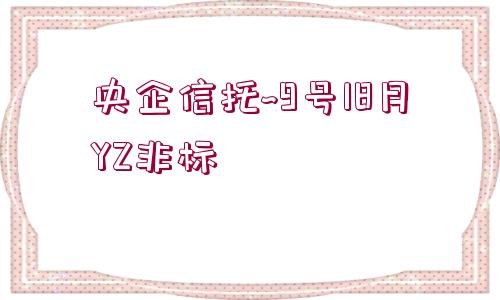 央企信托~9號18月YZ非標(biāo)